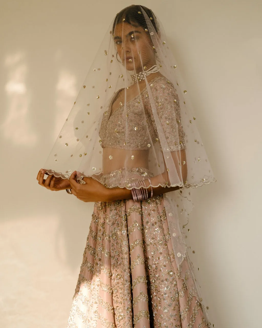 Chevron & Jaal Panel Lehenga