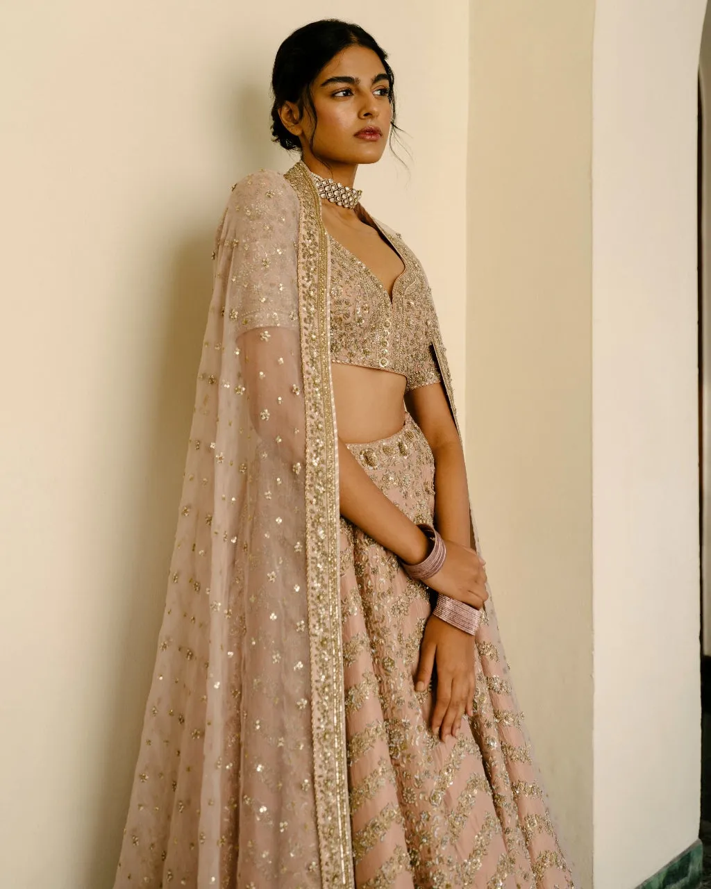 Chevron & Jaal Panel Lehenga