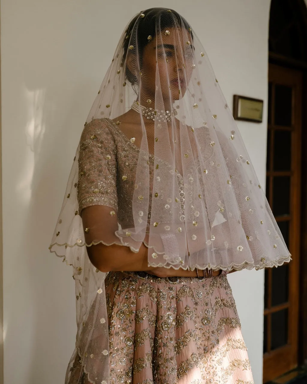 Chevron & Jaal Panel Lehenga