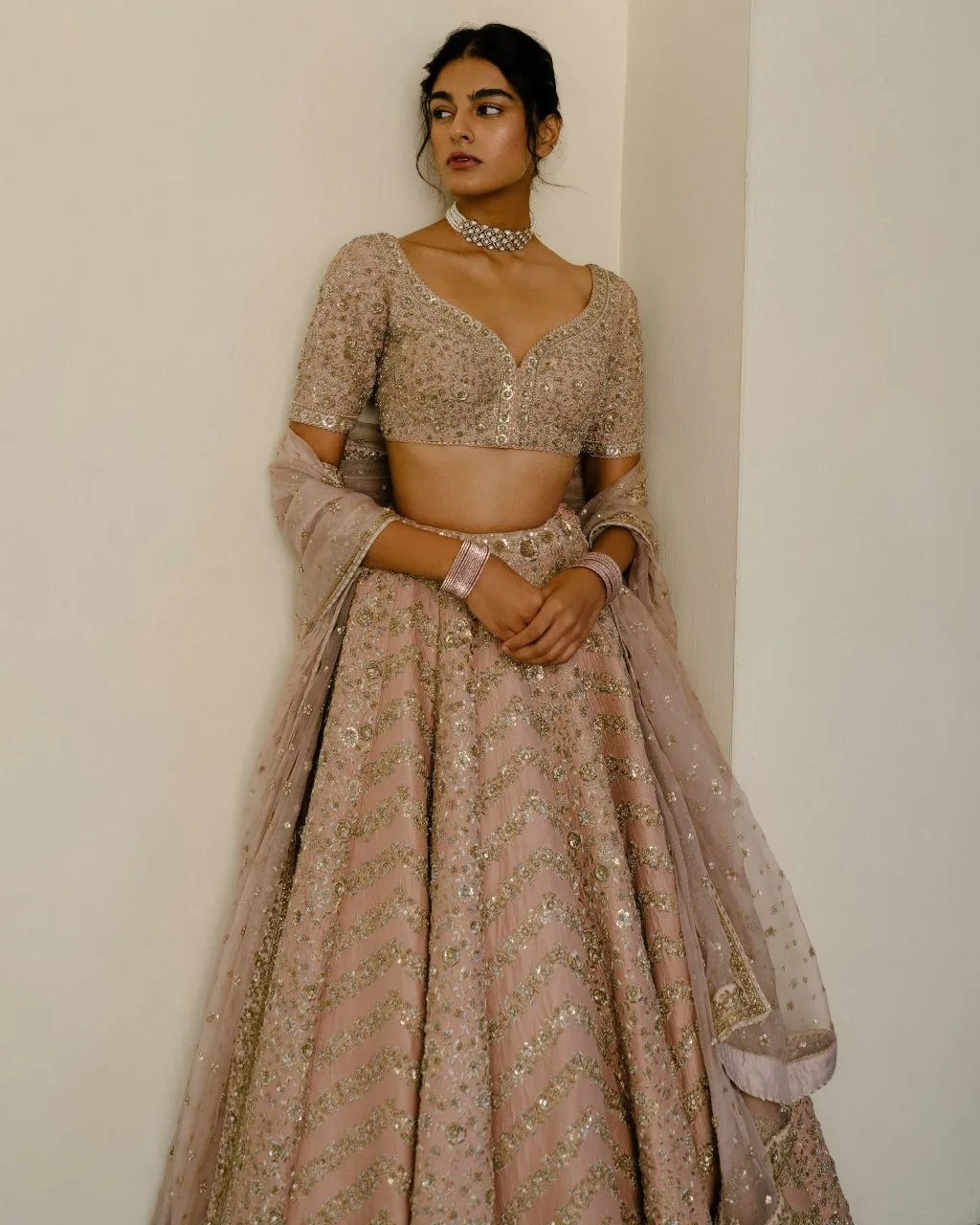 Chevron & Jaal Panel Lehenga