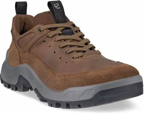 Ecco Men's Offroad Hiking Shoes- Cocoa Brown