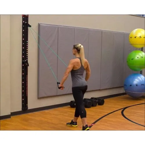 Prism Smart Resistance Wall Gym & Cable Caddy Complete Kit